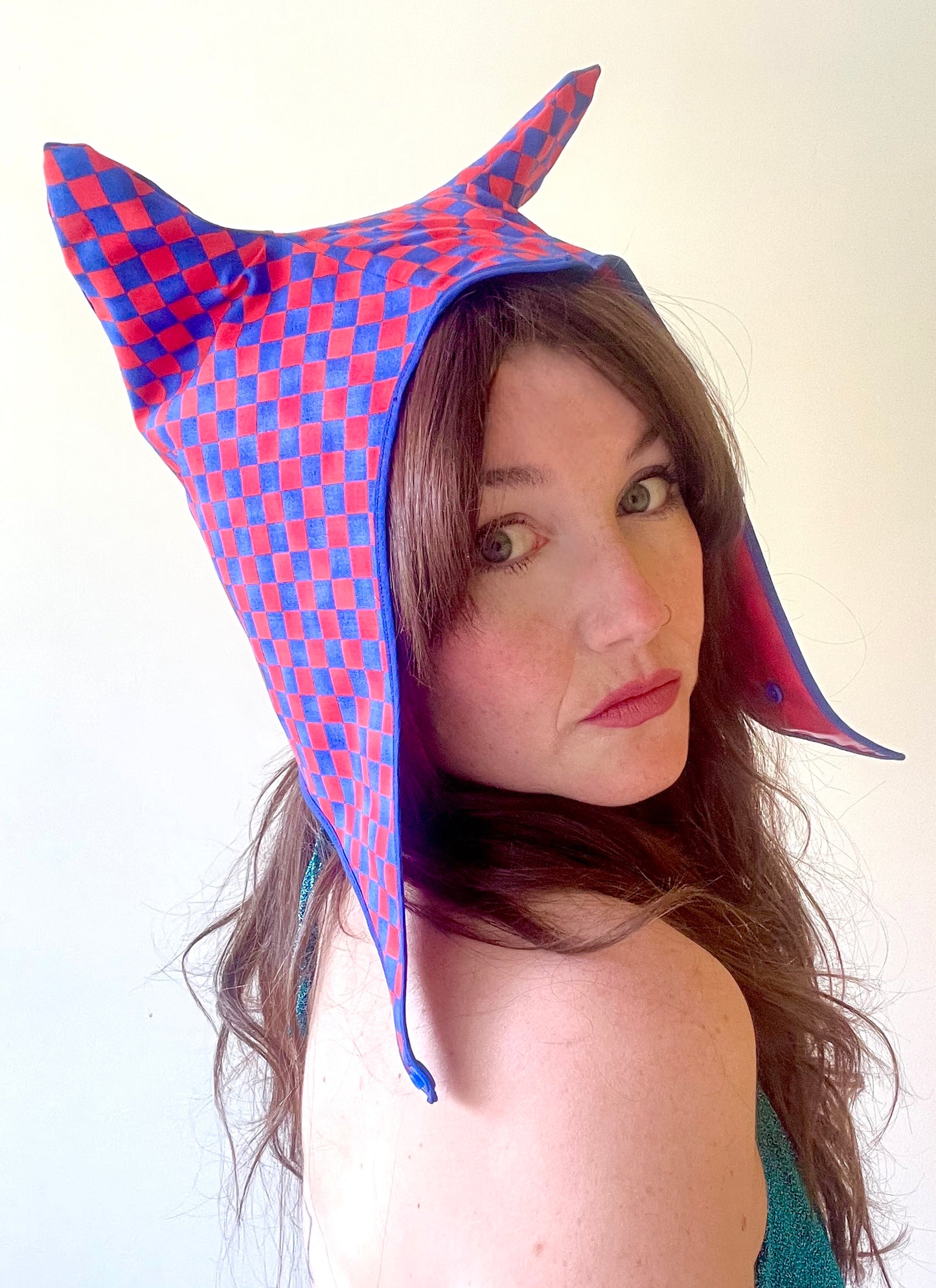 ANIMORPH Hood: Red & blue mini-check (reversible; waterproof)